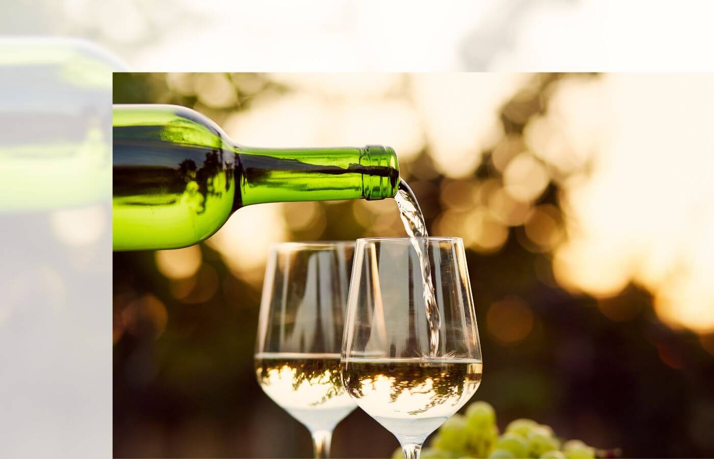 übersetzungen rund um wein